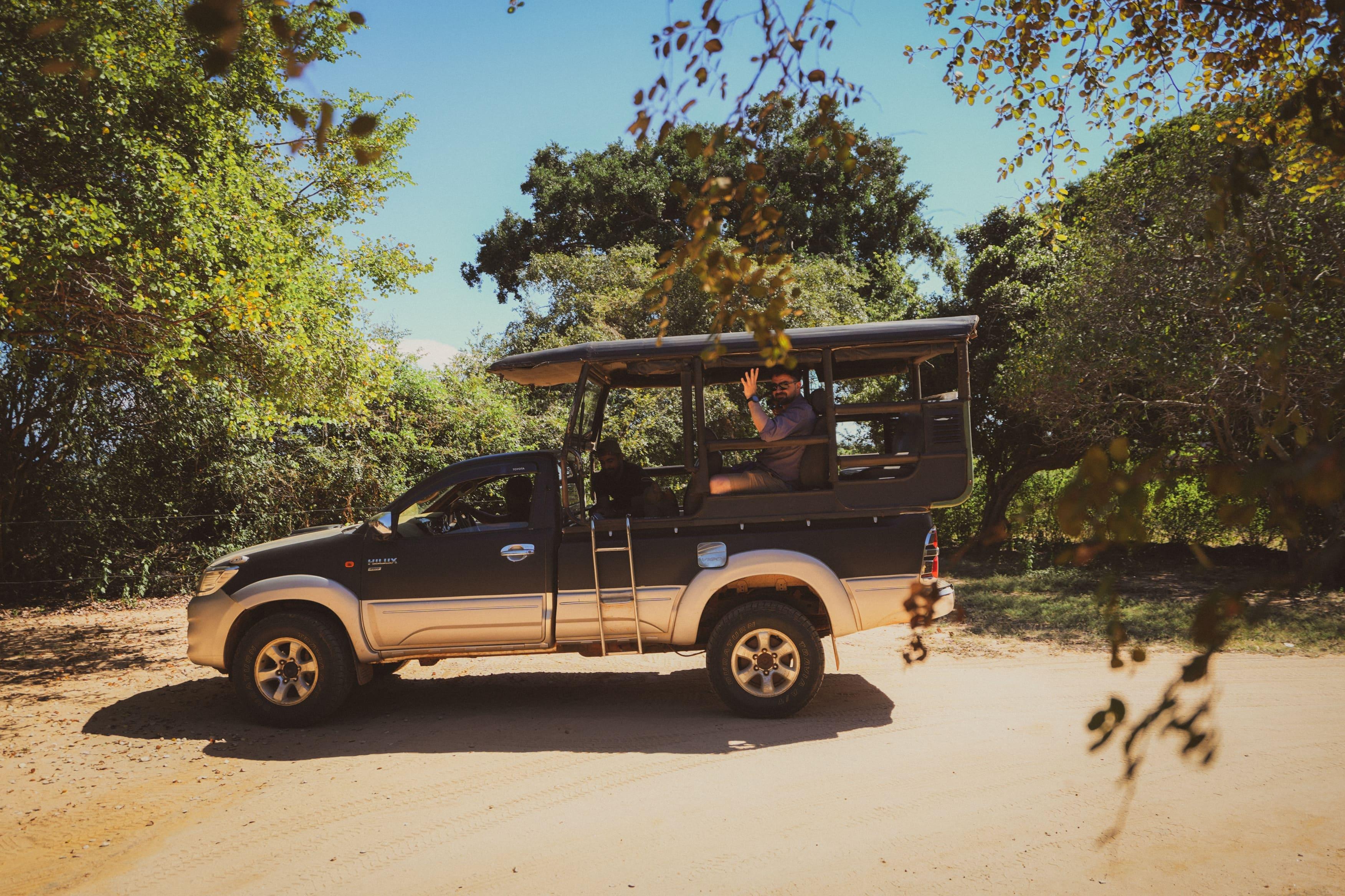Plan the Best Time to Visit Yala National Park