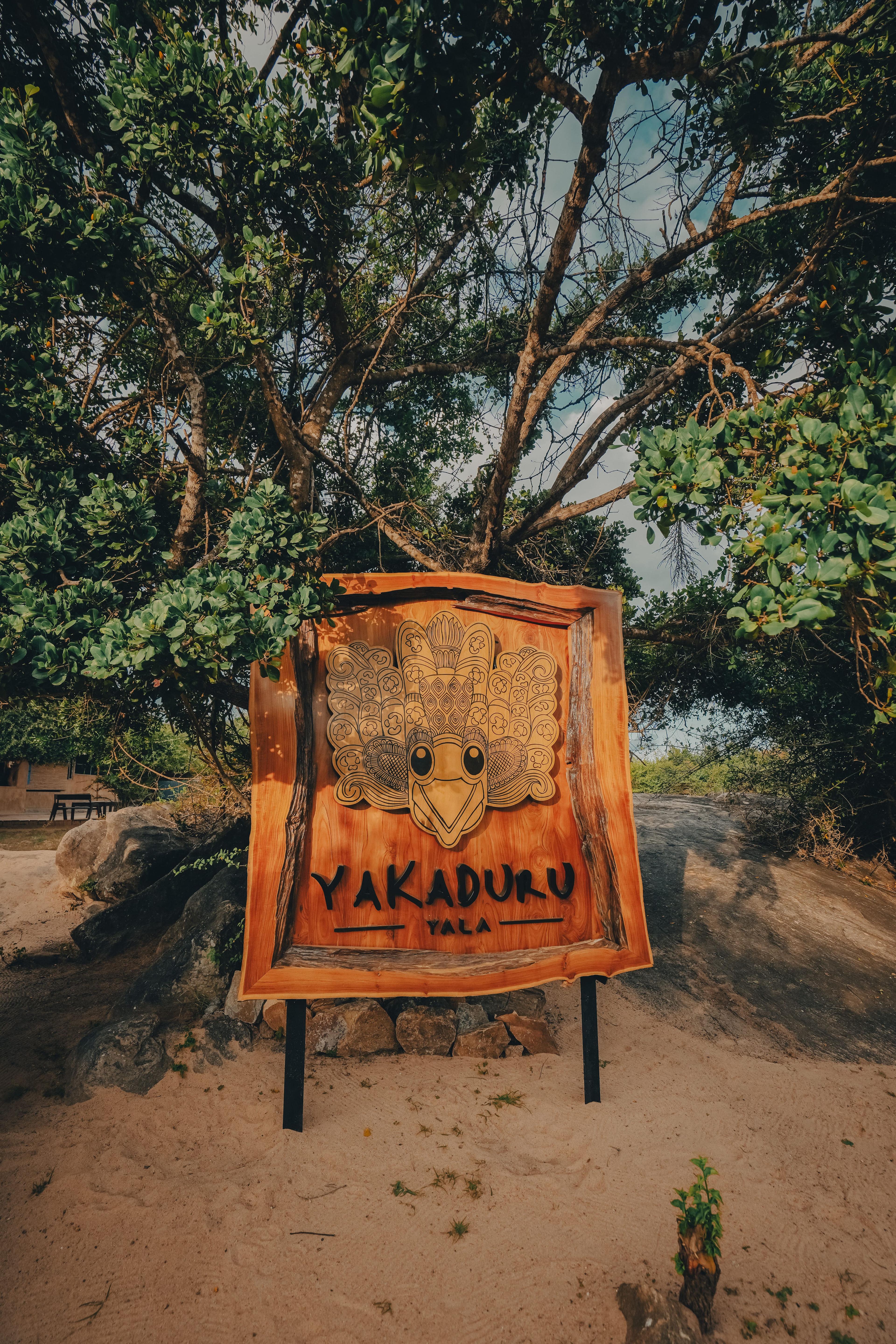 Read our Yala Travel Guide