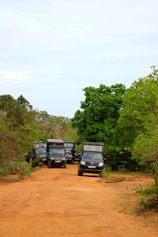 YALA NATIONAL PARK 3